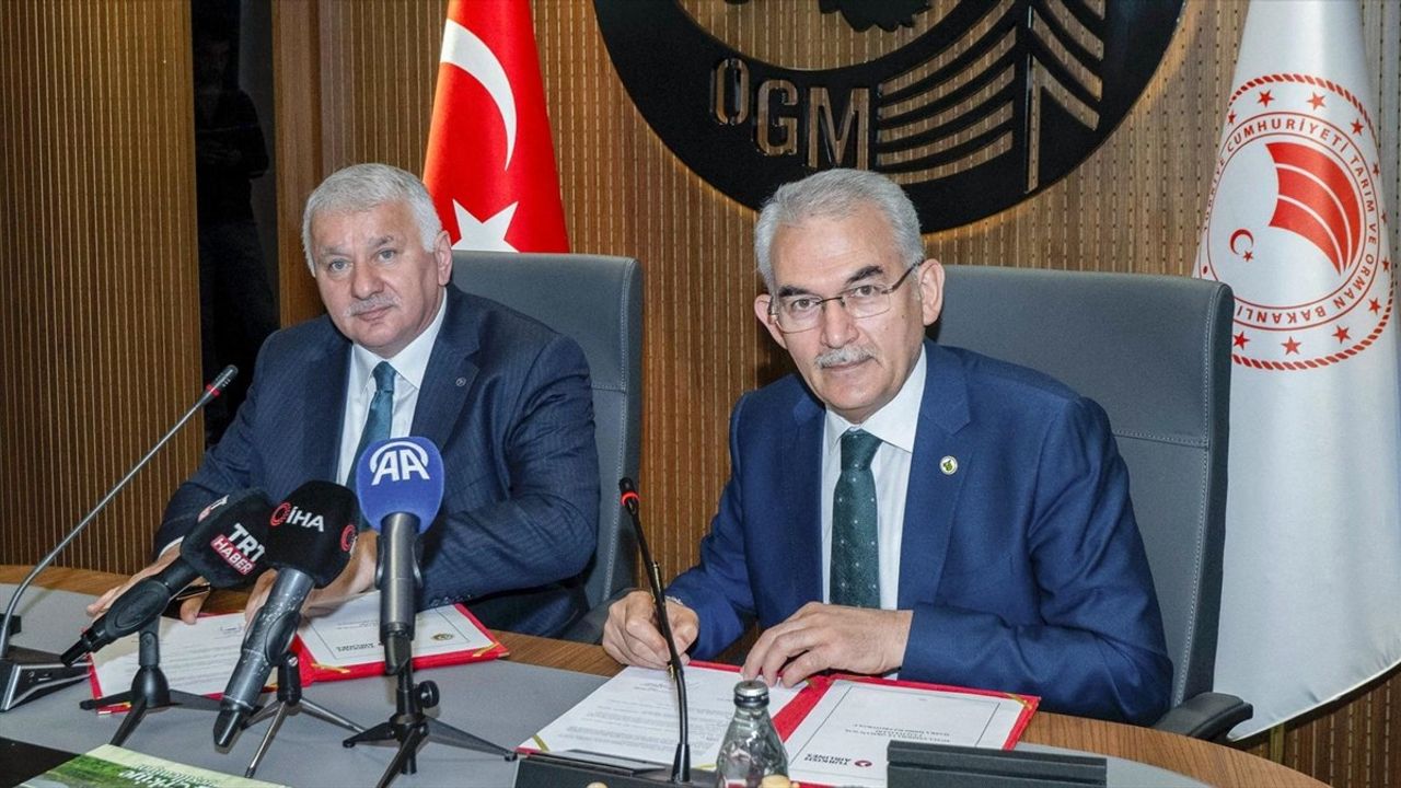 THY ve OGM Ağaçlandırma Protokolü İmzaladı