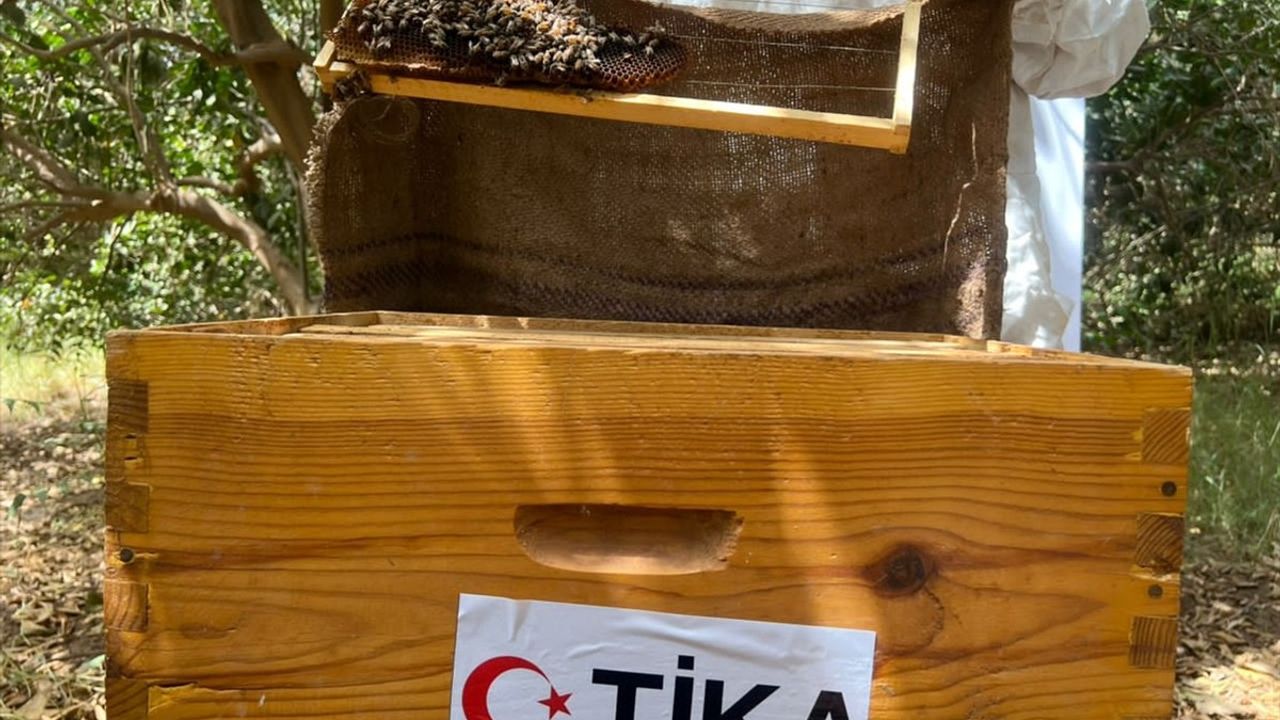 TİKA, Sudan Arıcılarına Ekipman Desteği Sağladı