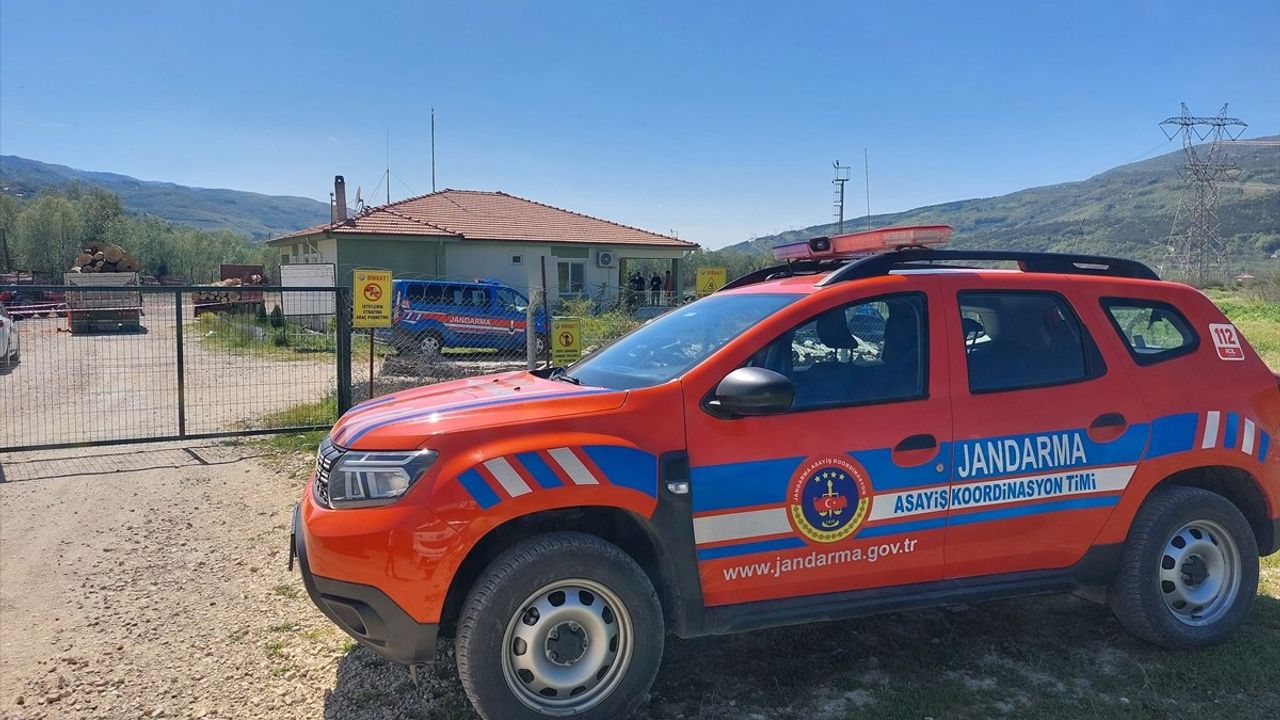 Tomruk Devrilmesi Sonucu İşçi Hayatını Kaybetti