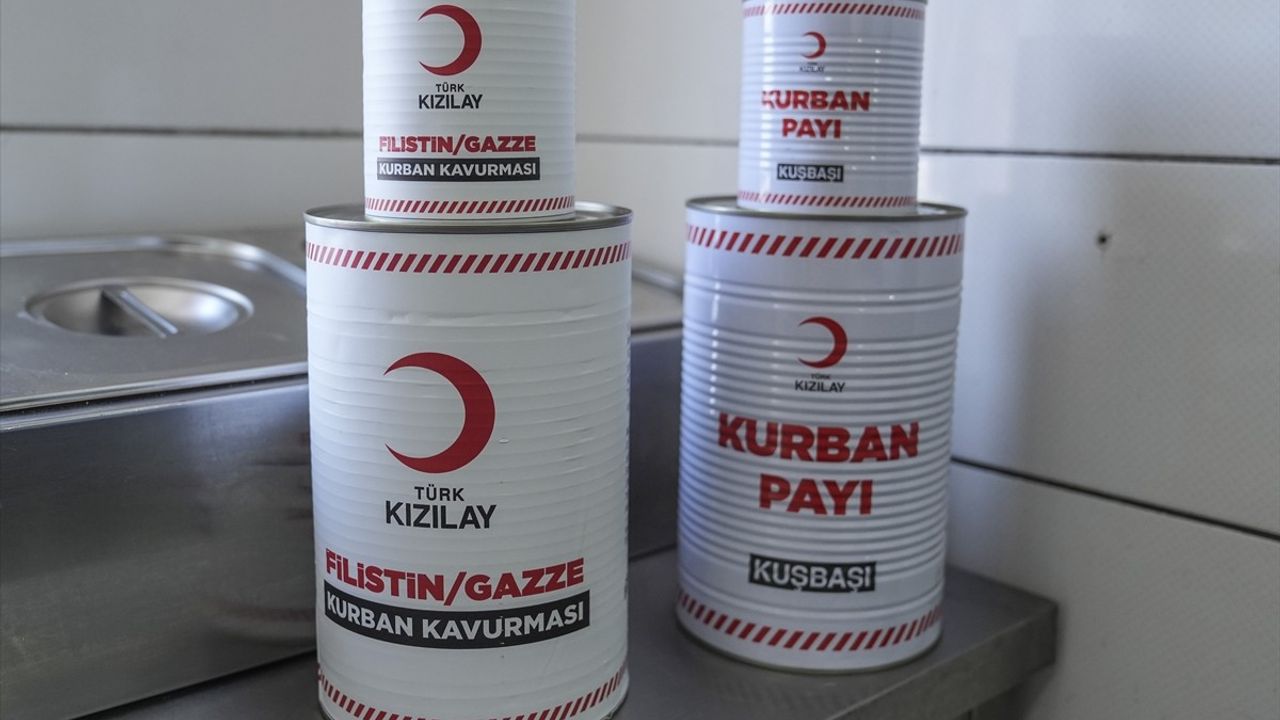 Türk Kızılay'ın Kurban İhtiacı: Yıl Boyu Et Dağıtımı