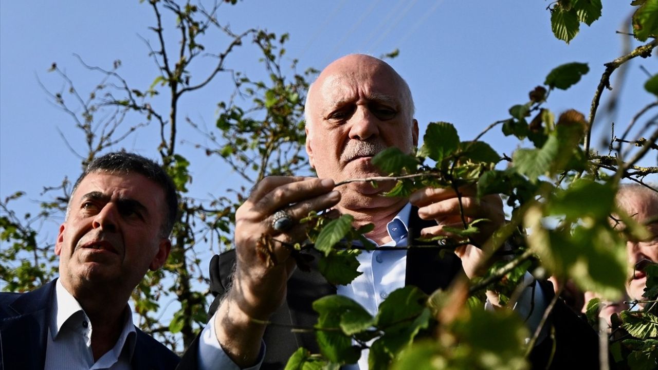 TZOB Genel Başkanı Bayraktar Düzce'de Çiftçilerle Buluştu
