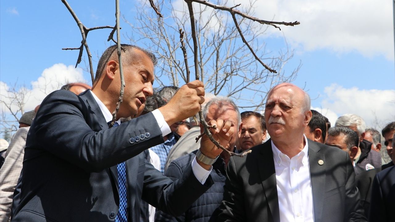 TZOB Genel Başkanı Bayraktar, Gaziantep ve Kahramanmaraş'ta Zirai Donu İnceledi