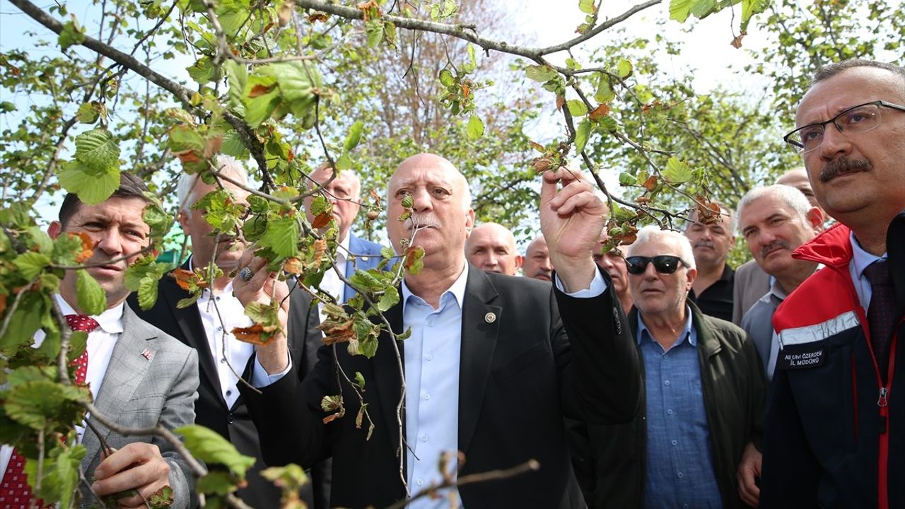 TZOB Genel Başkanı Bayraktar, Sakarya'da Çiftçilerle Bir Araya Geldi