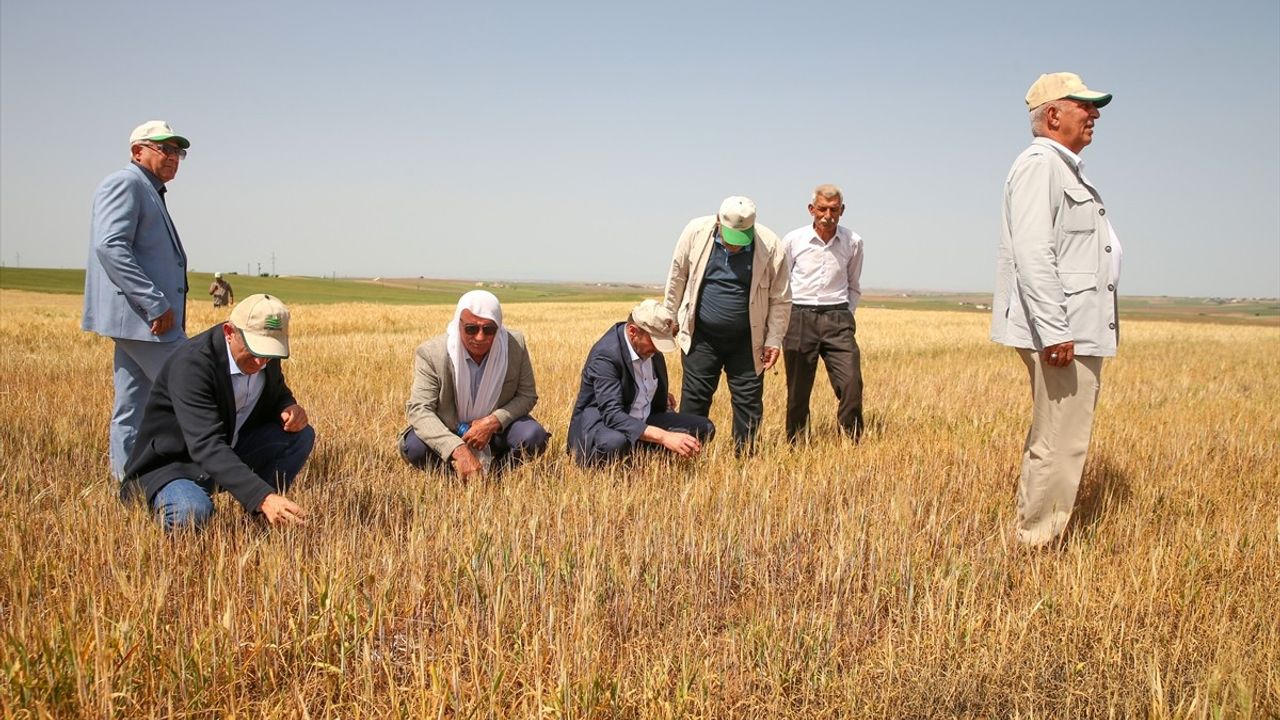 TZOB Genel Başkanı Şemsi Bayraktar, Diyarbakır'daki Kuraklık Sorununu İnceledi