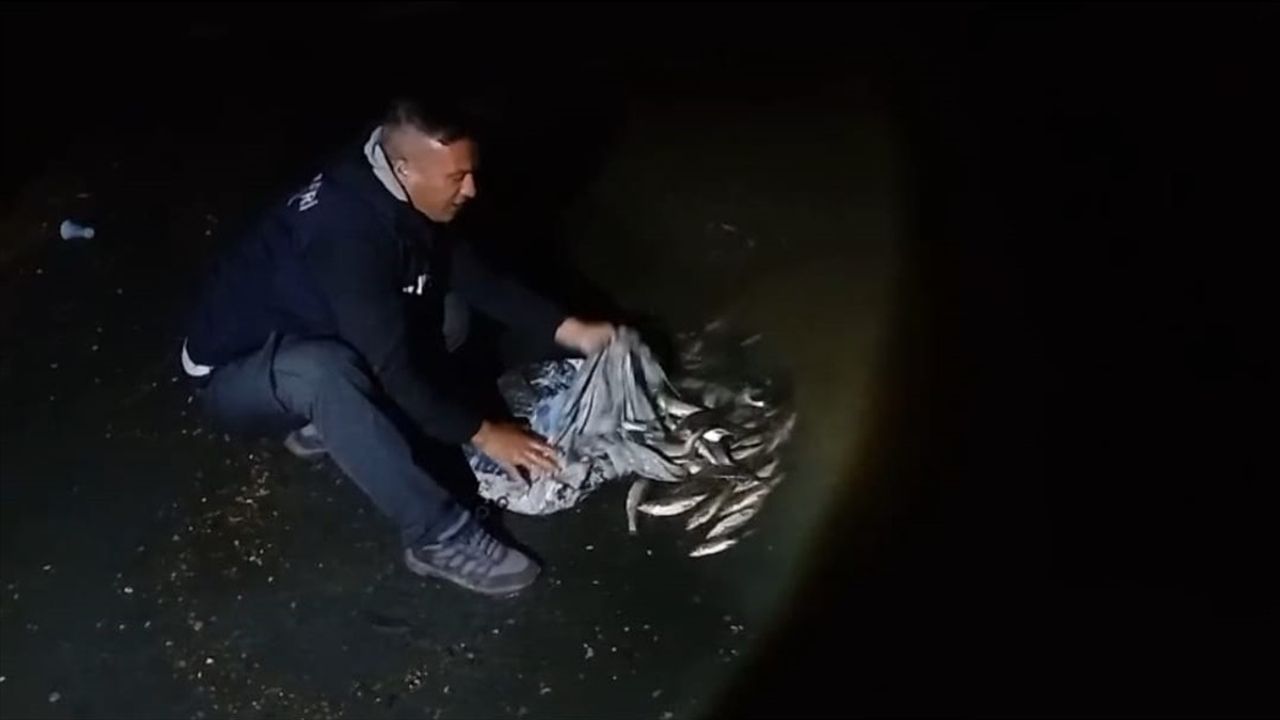 Van'da Kaçak İçi Kefali Avına Ceza