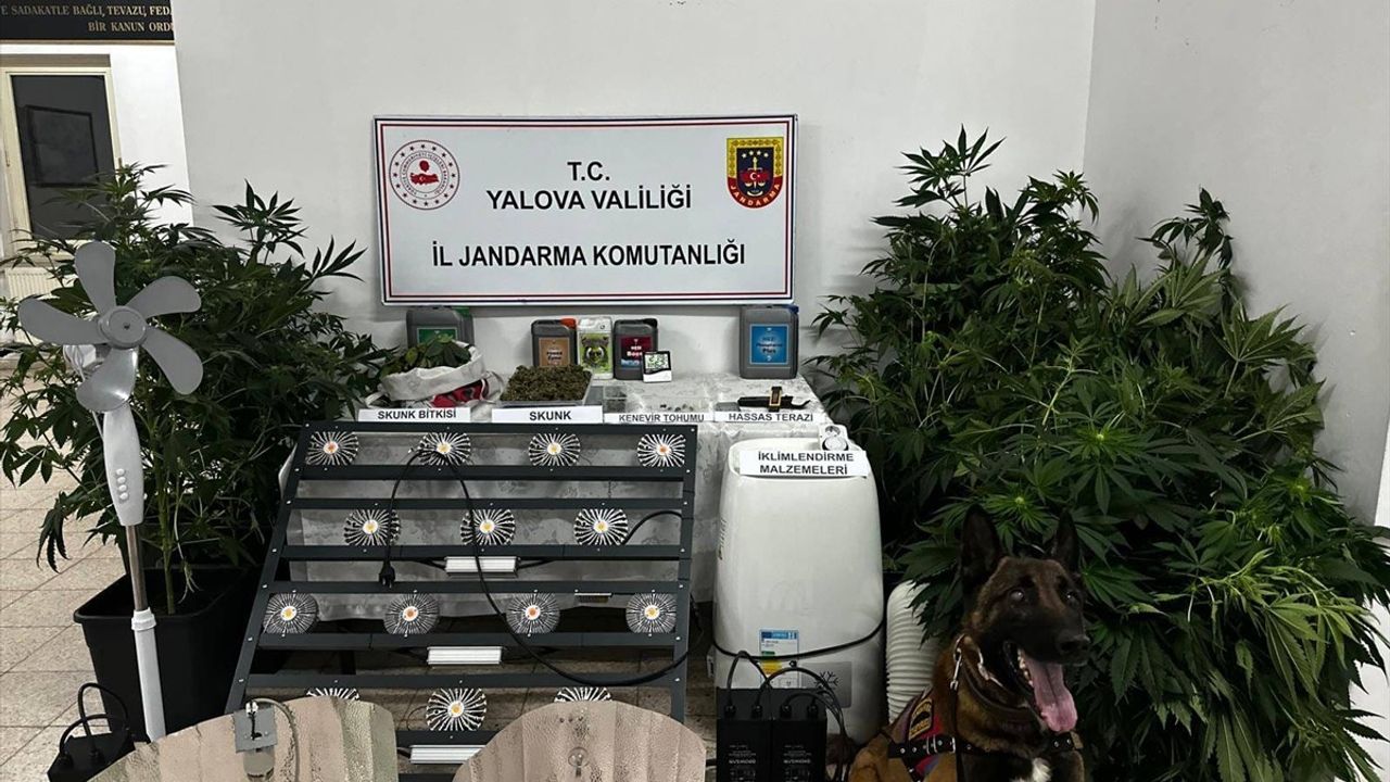 Yalova'da Uyuşturucu İmalatı Yapan Zanlı Tutuklandı