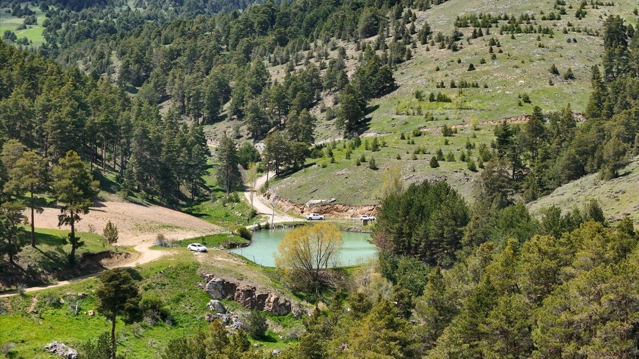 Yozgat'ta Doğaseverler İçin Cennet: Çerçialan Göleti