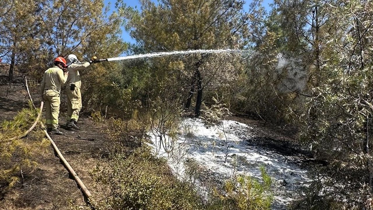Adana'da Orman Yangınına Hızla Müdahale