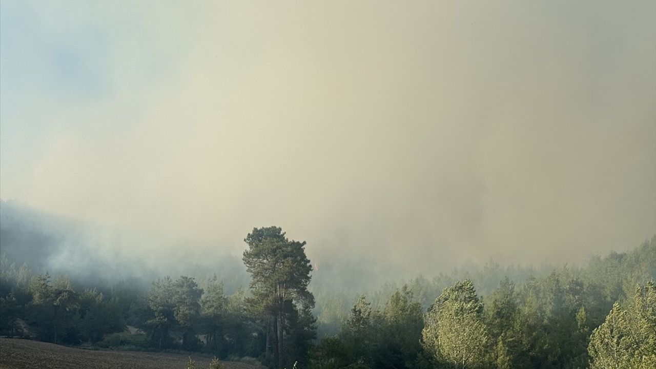 Adana'nın Kozan İlçesinde Orman Yangını Çıktı