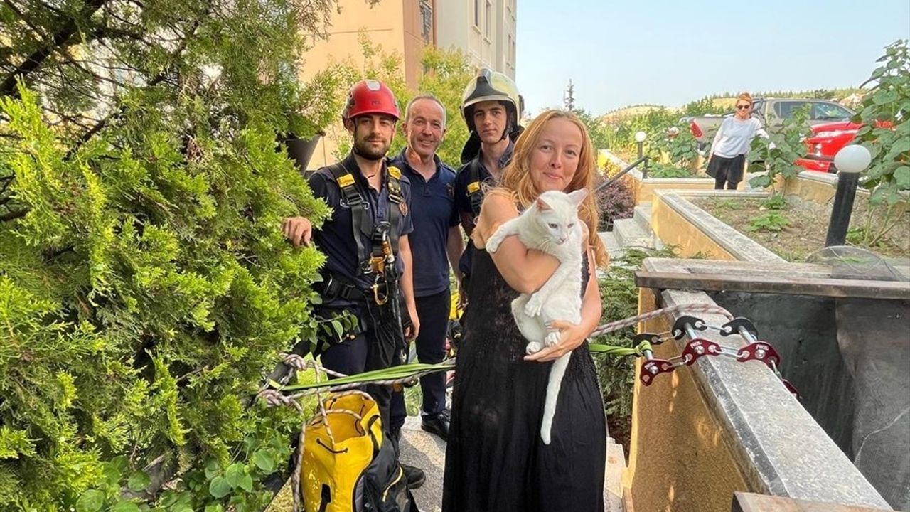 Ankara'da İtfaiye Ekipleri Havalandırma Boşluğuna Düşen Kediyi Kurtardı