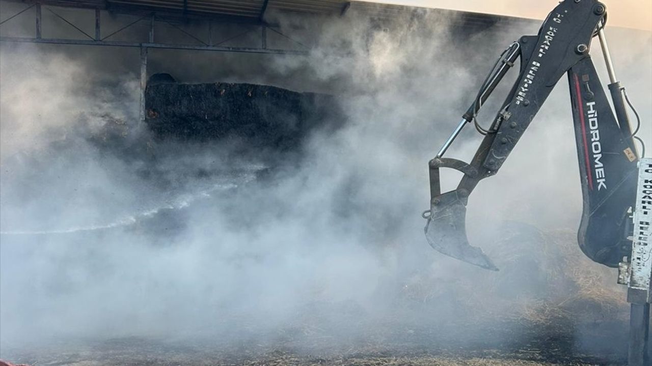 Aydın'da Çiftlik Yangını: 4 Hayvan Telef, 150 Ton Saman Zarar Gördü