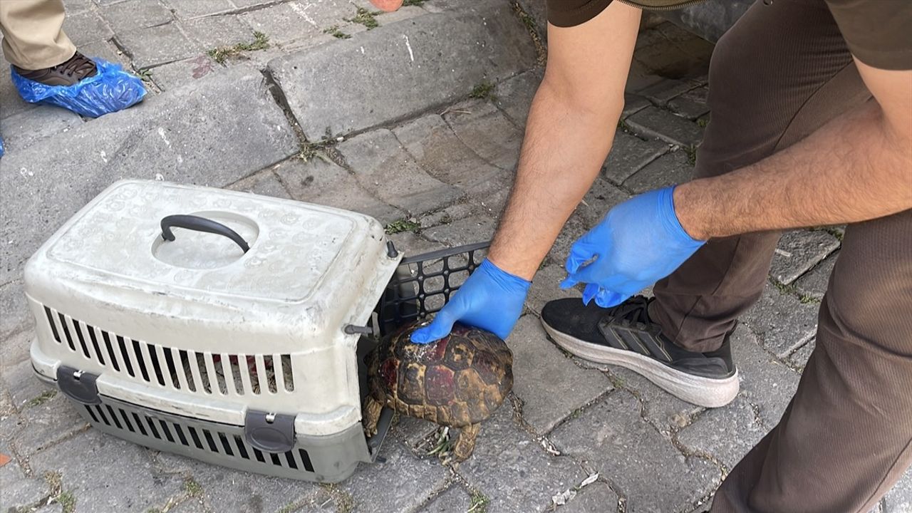Aydın'da Çöp Evden 4 Kamyon Çöp Çıktı