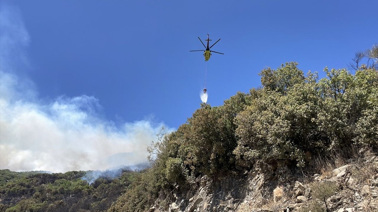 Aydın'da Ziraat Alanından Ormana Sıçrayan Yangın