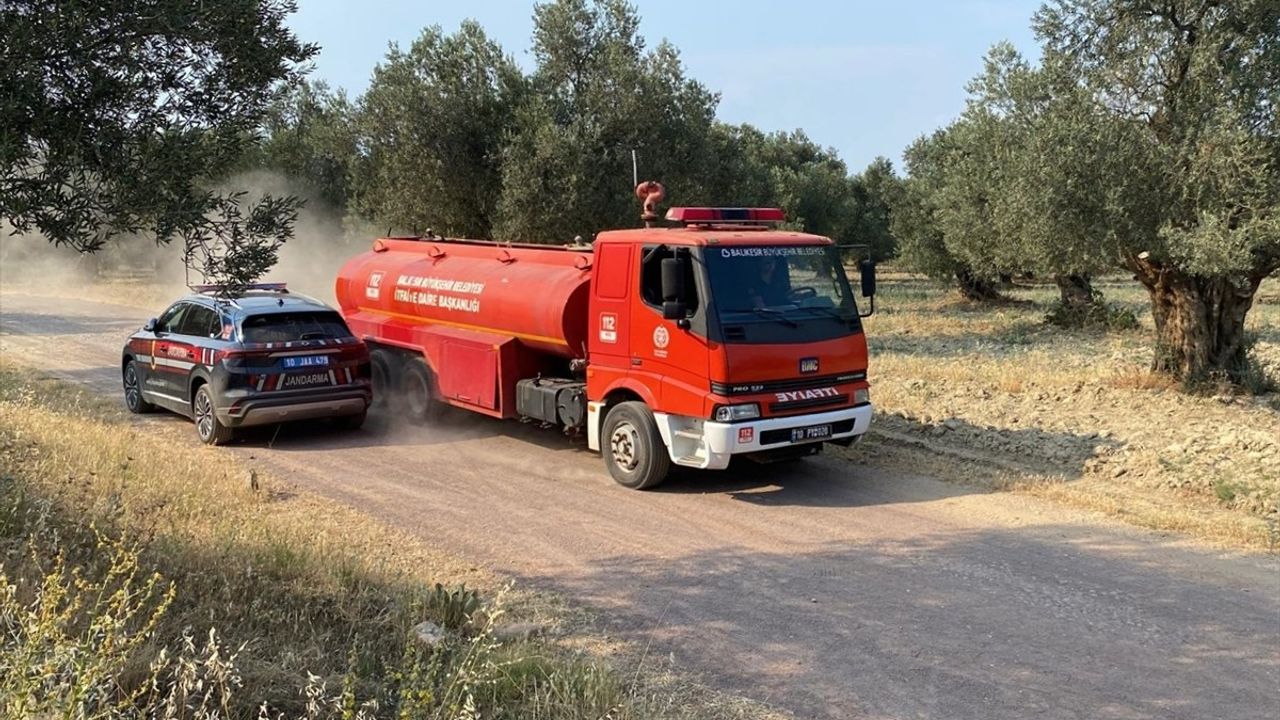 Balıkesir Ayvalık'taki Zeytinlik Yangını Kontrol Altına Alınıyor