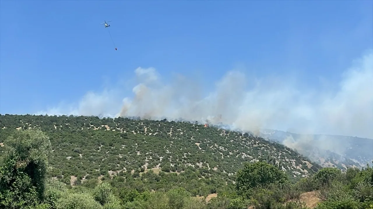 Balıkesir'de Arazide Yangın: Müdahale Devam Ediyor
