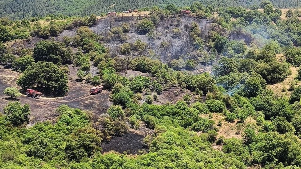 Balıkesir'de Orman Yangınına Mücadele Başladı
