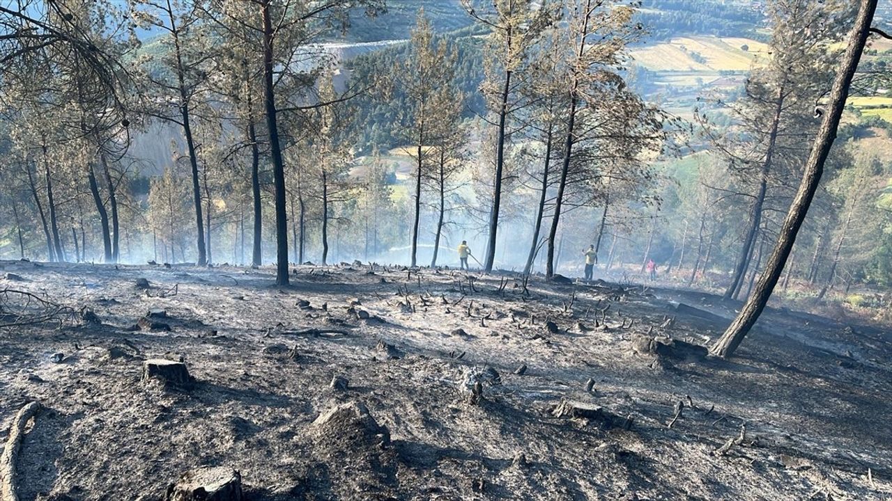 Balıkesir'de Orman Yangınına Müdahale