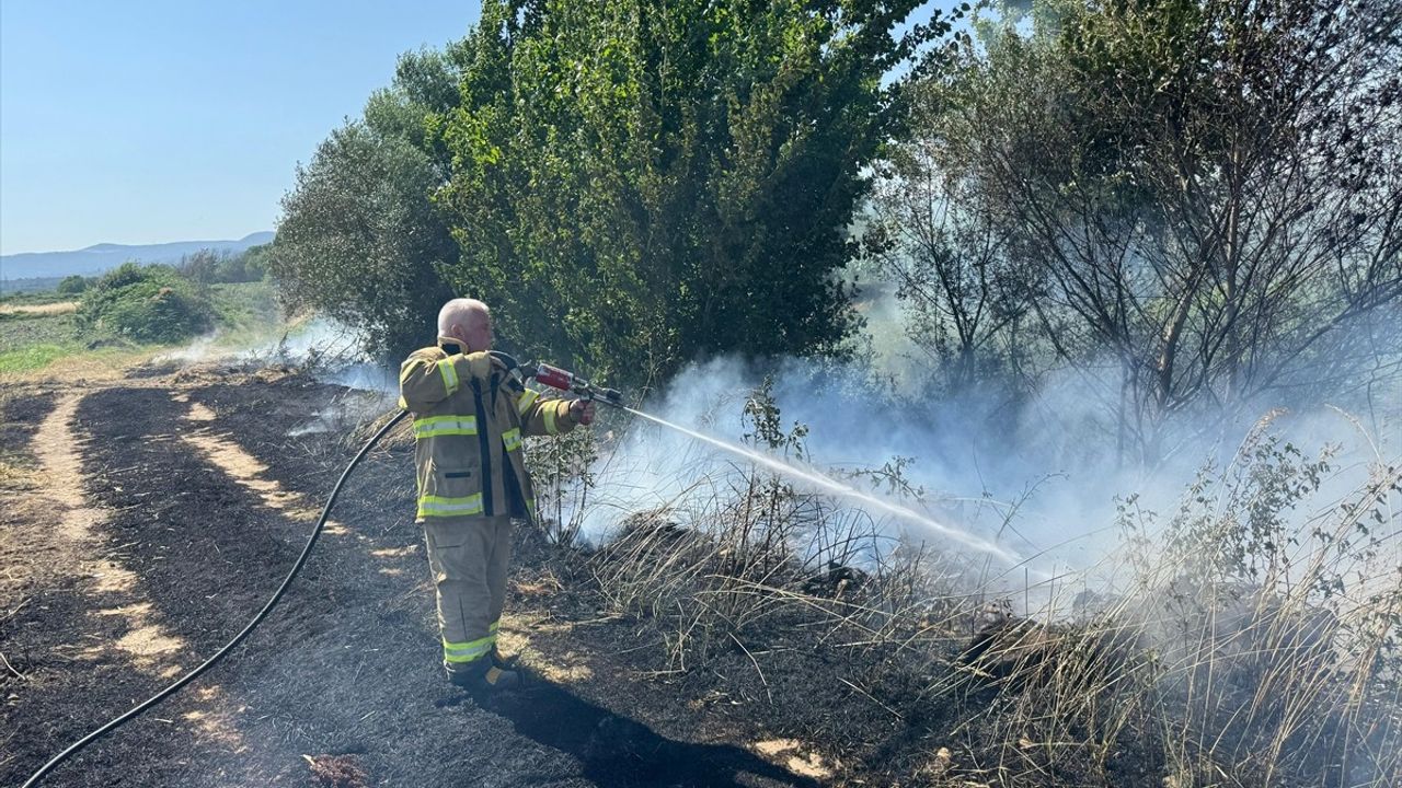 Balıkesir'de Yangın: 12 Dekar Arpa Tarlası Zarar Gördü