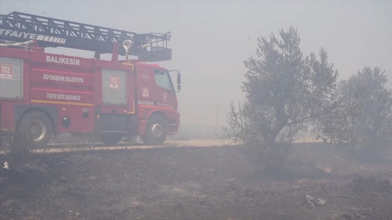 Balıkesir'deki Yangın Zeytinlikleri Tehdit Ediyor