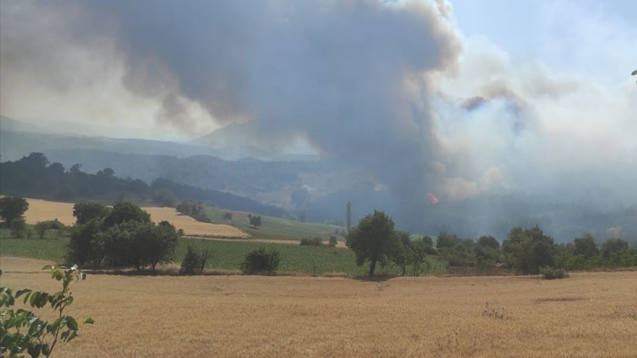Bilecik'te Orman Yangınına Hızlı Müdahale