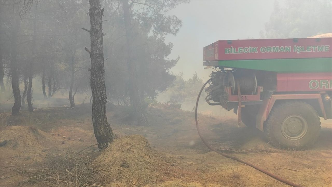 Bilecik'te Yangın: Buğday Tarlasından Ormana Sıçradı
