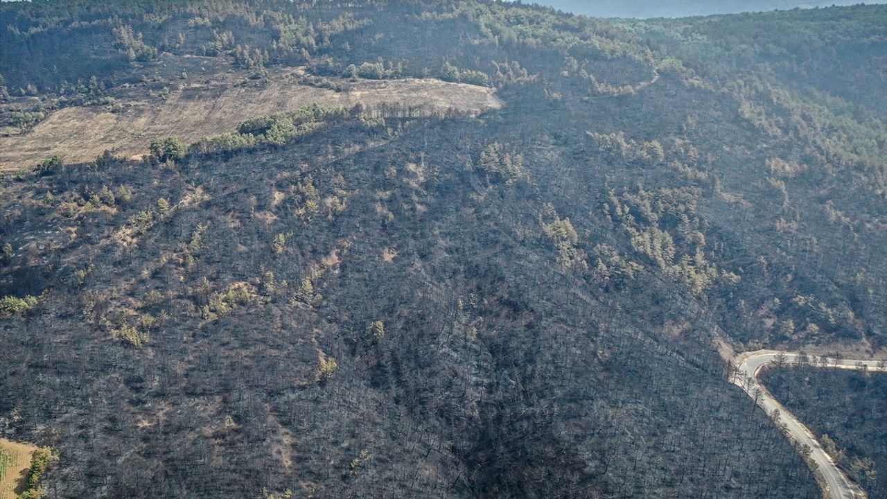 Bilecik'teki Orman Yangınında Zarar Gören Alanlar Dronla İncelendi