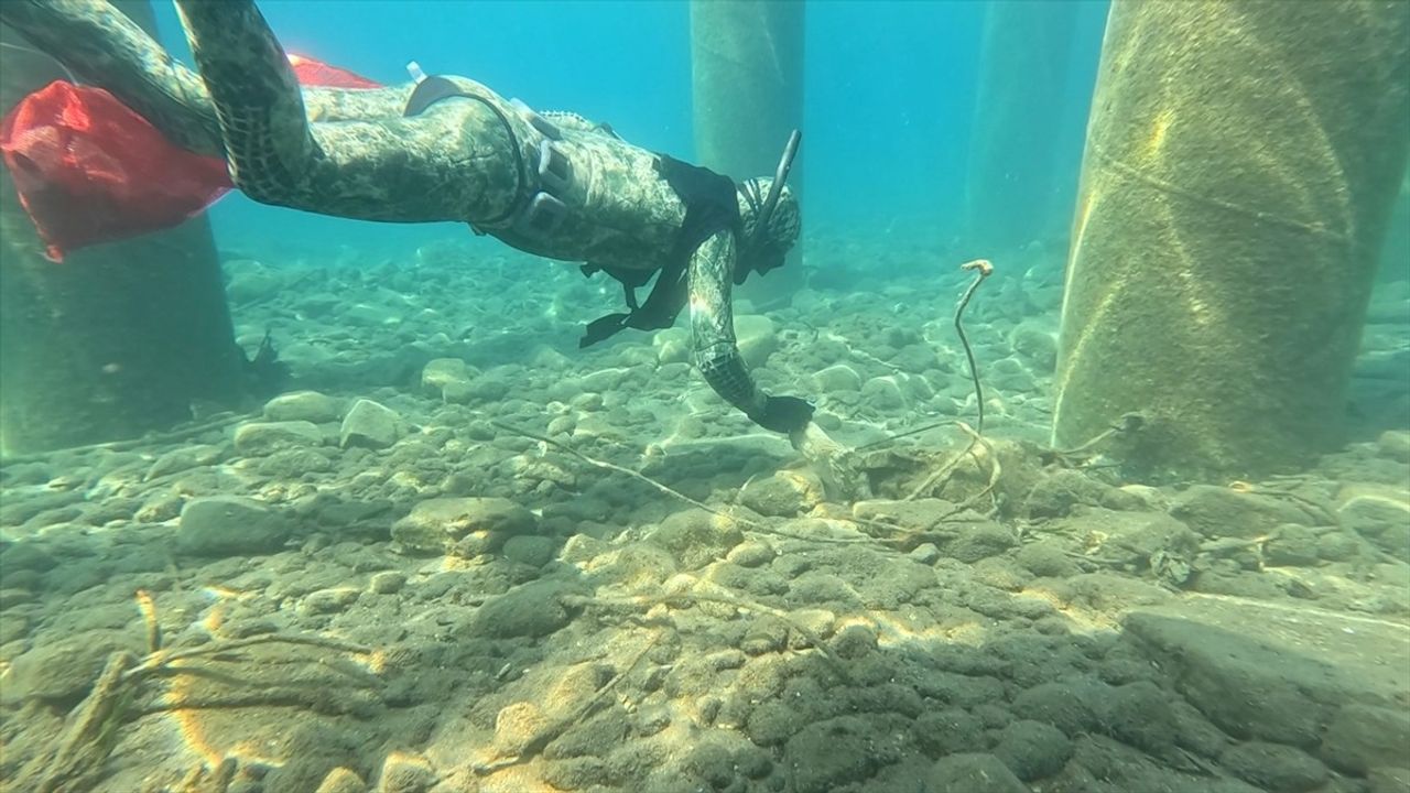 Bodrum'da Deniz Temizliği: 241 Kilogram Atık Toplandı