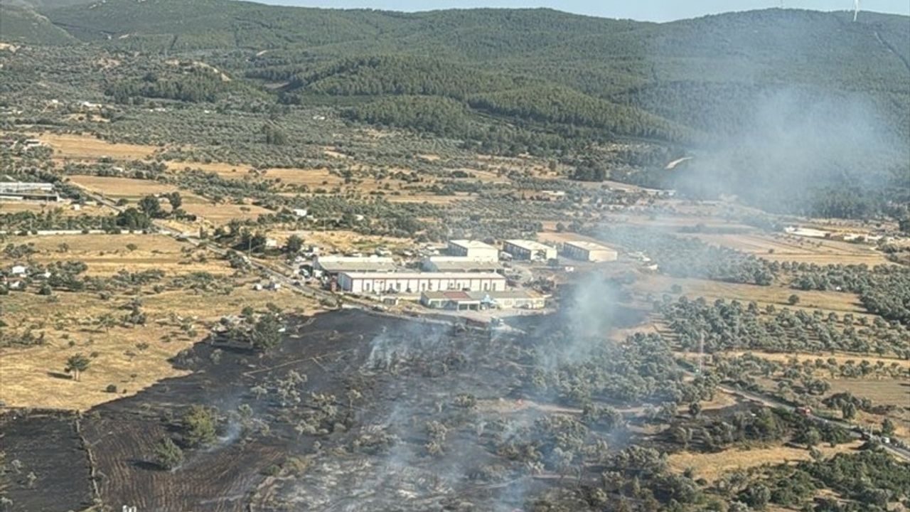Bodrum'da Tarım Arazisinde Yangın Kontrol Altına Alındı