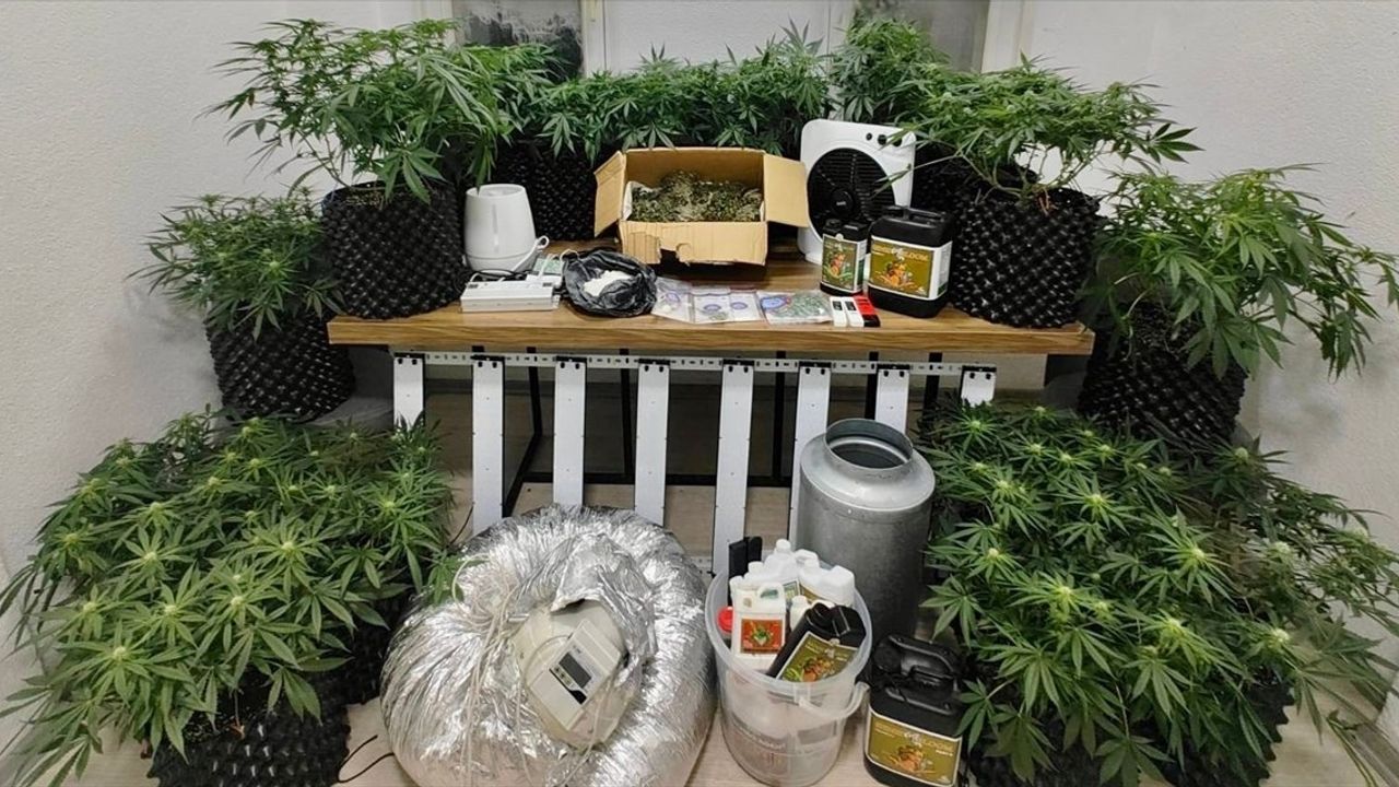 Bodrum'da Uyuşturucu Üretimi: İki Zanlıdan Biri Tutuklandı