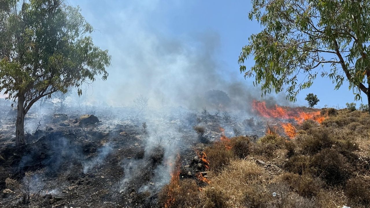 Bodrum'da Yangın Söndürme Çalışmaları Devam Ediyor