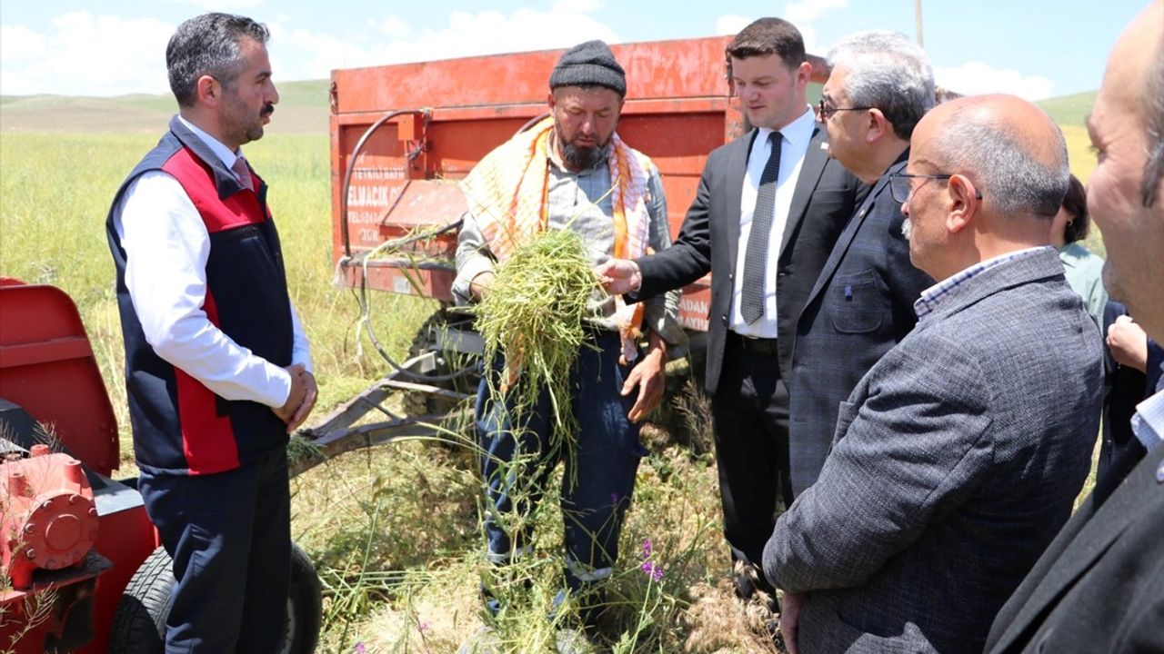 Burdur'da Kuraklığa Dayanıklı Yem Bitkisi Hasadı Yapıldı