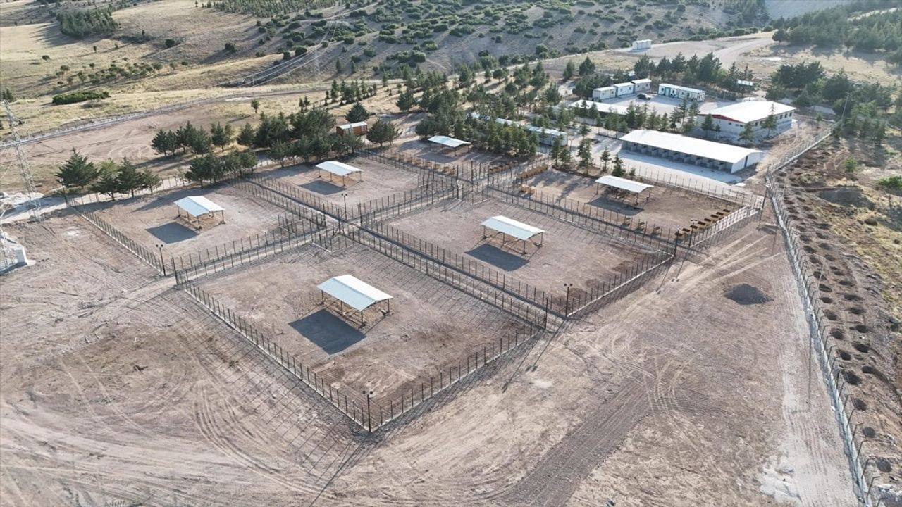 Burdur'da Sahipsiz Hayvanlar İçin Yeni Yaşam Alanı Açıldı