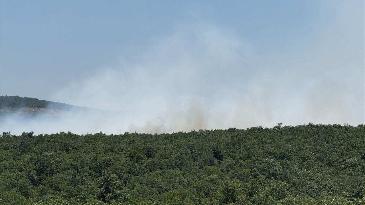 Bursa'da Orman Yangınına Anında Müdahale