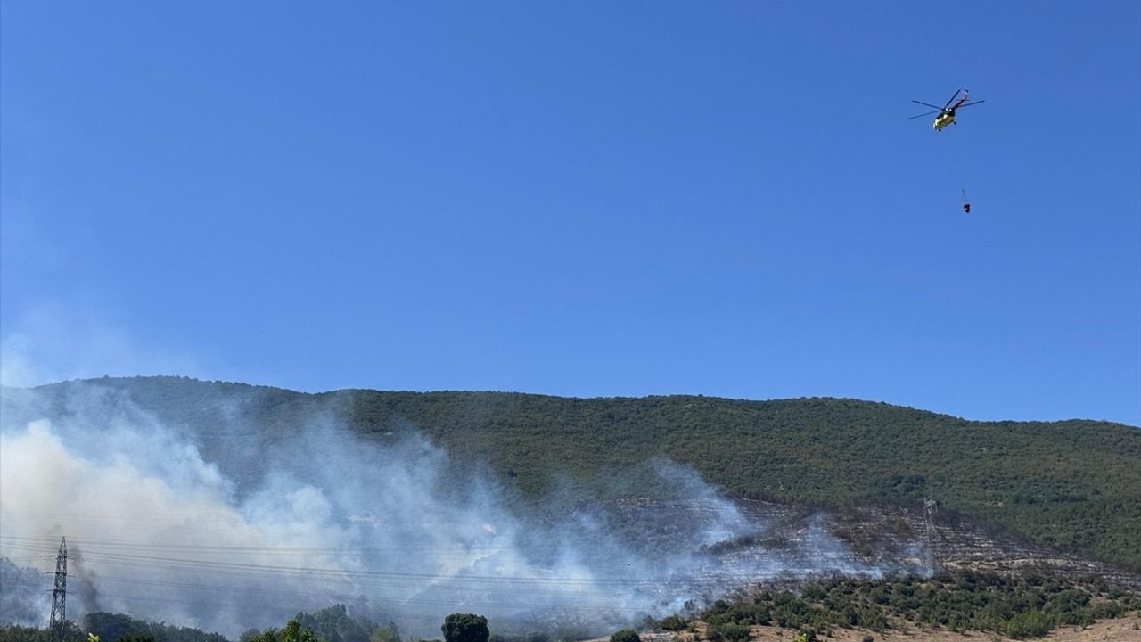 Bursa'nın Yenişehir İlçesinde Orman Yangınına Müdahale Başladı