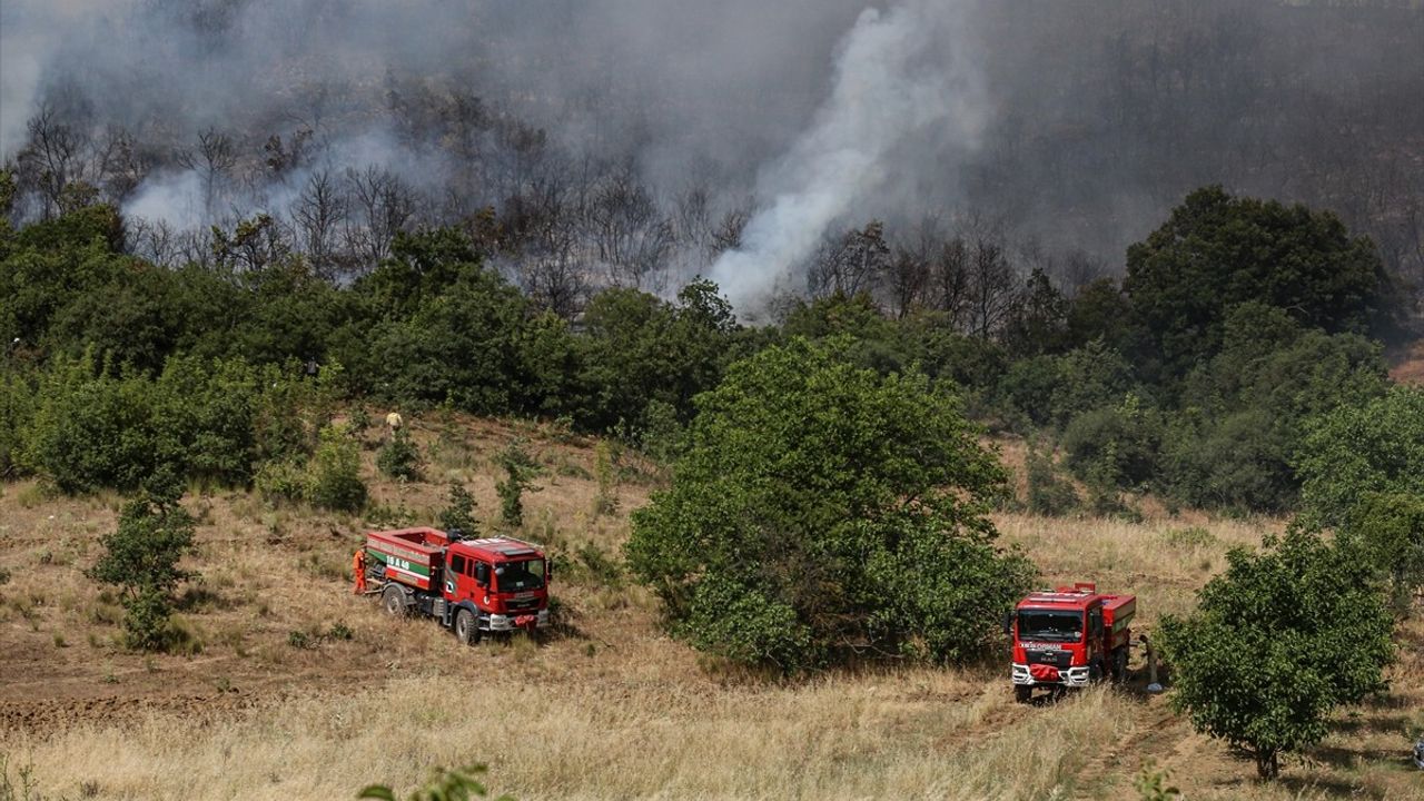 Bursa Yenişehir'deki Orman Yangını Kontrol Altına Alındı