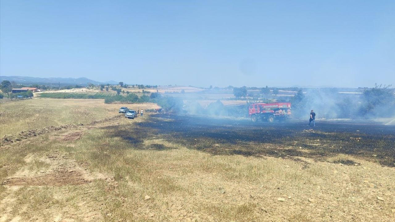Çanakkale'de Tarım Arazisinde Yangın