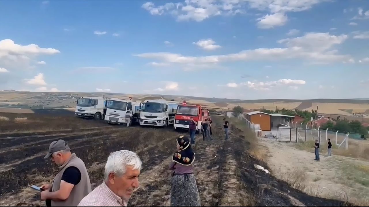 Çorum'da Kasıtlı Yangın: 120 Dekar Buğday Tarlası Yandı