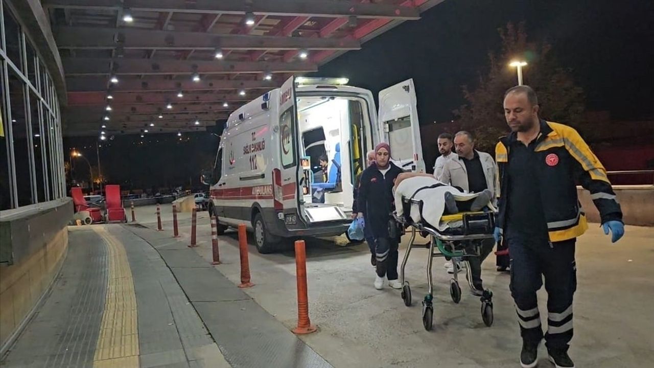 Çorum'da Sahipsiz Köpeklerin Saldırısı Sonucu Motosiklet Kazası