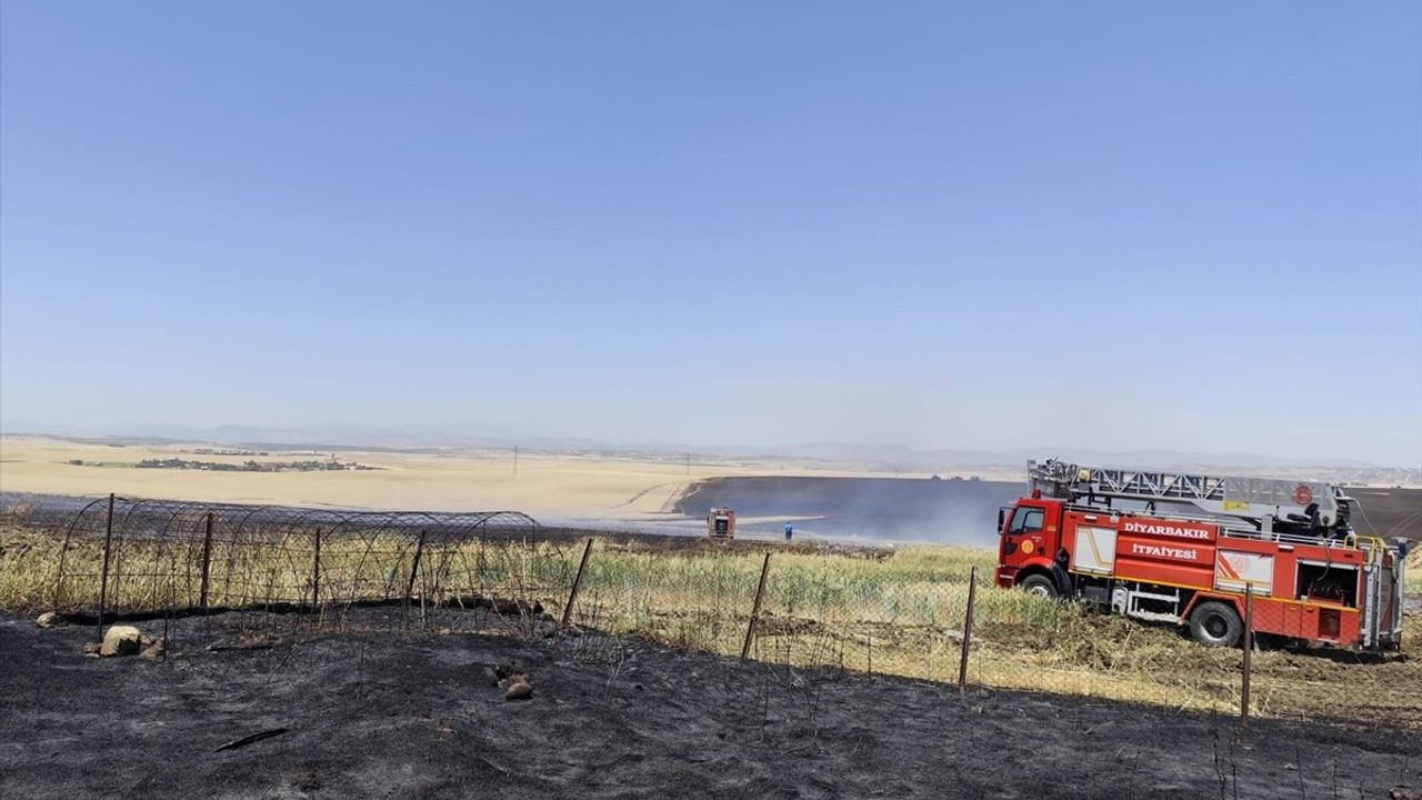 Diyarbakır'da Tarım Arazisinde Yangın
