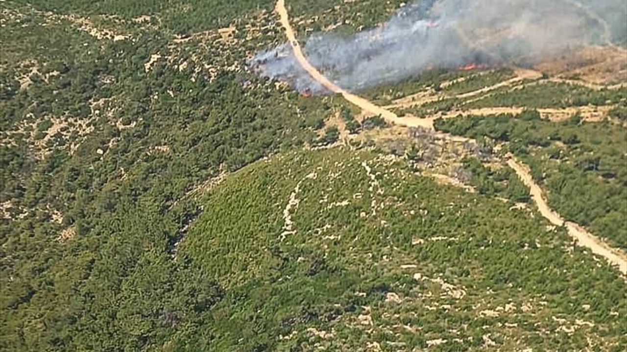 Foça'da Orman Yangını: Hızla Müdahale Ediliyor