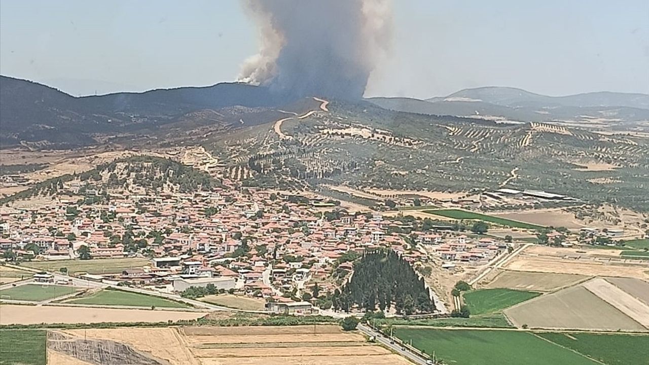 İzmir'in Aliağa İlçesinde Orman Yangınına Müdahale Devam Ediyor