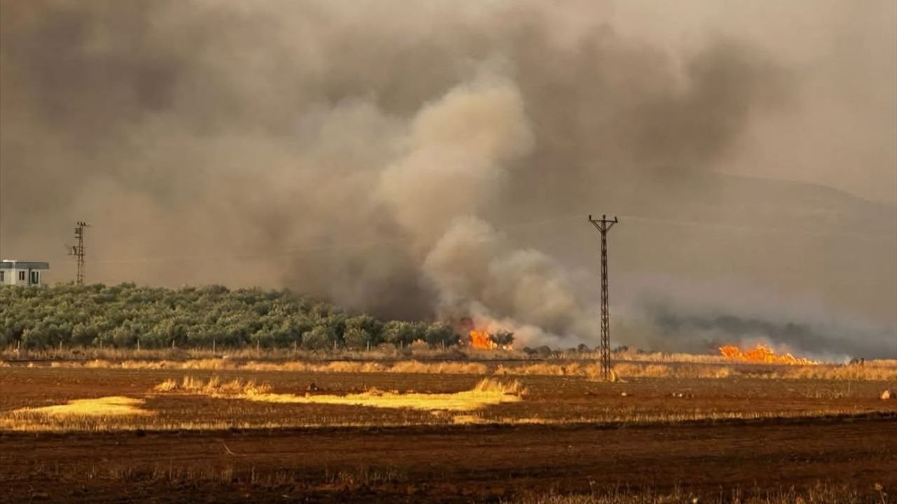 Gaziantep'te 500 Dönümlük Buğday Tarlasındaki Yangın