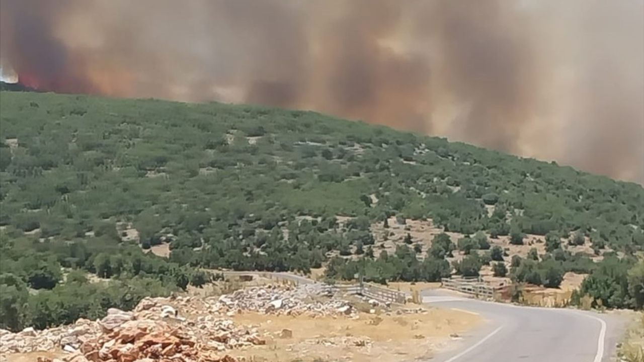 Gaziantep'te Orman Yangınına Müdahale Devam Ediyor