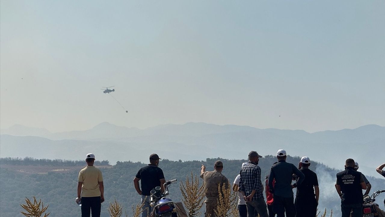 Gaziantep'teki Orman Yangını Kısmen Kontrol Altına Alındı