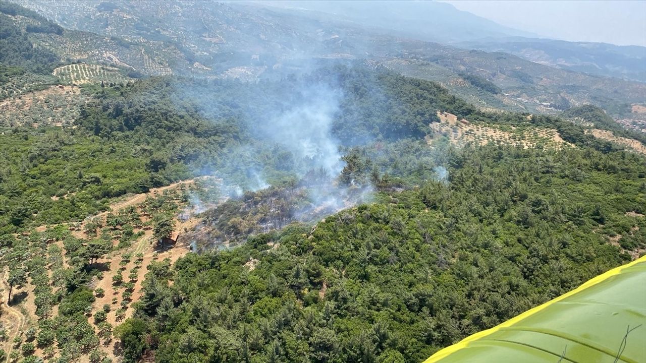 Aydın'ın Germencik İlçesinde Orman Yangını Kontrol Altına Alındı