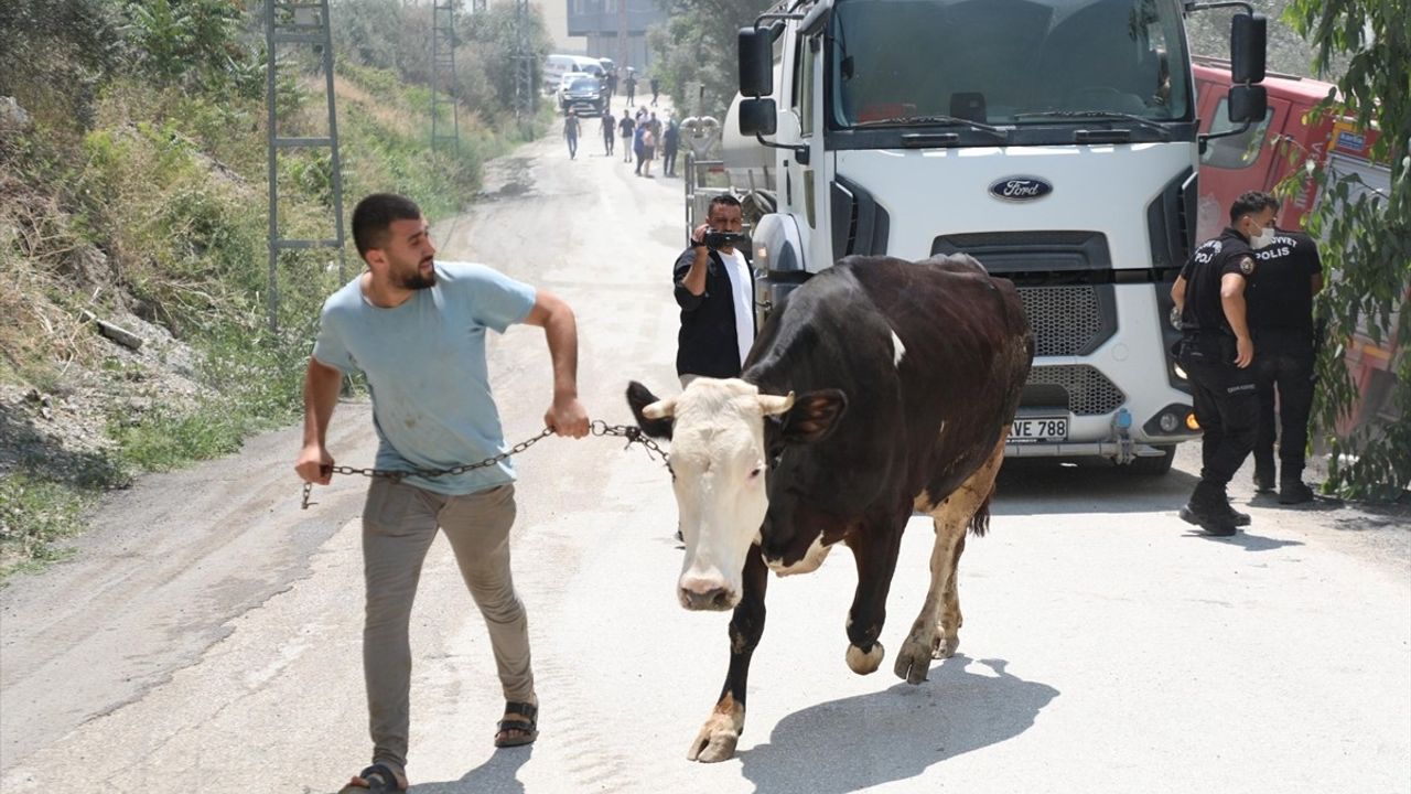 Hatay'da Orman Yangını: 1500 Kişi Tahliye Edildi