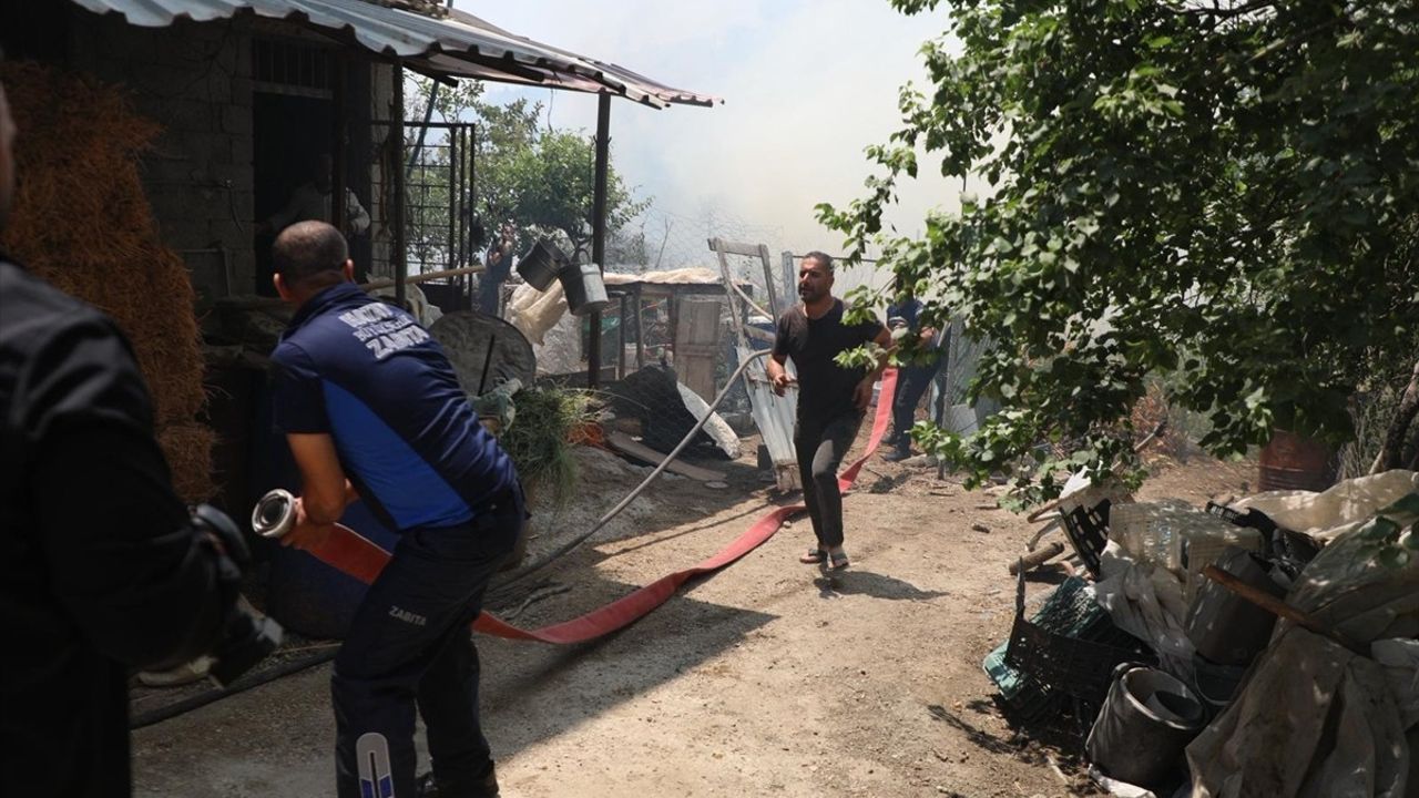 Hatay'da Orman Yangını: Tahliyeler ve Mücadele Başladı