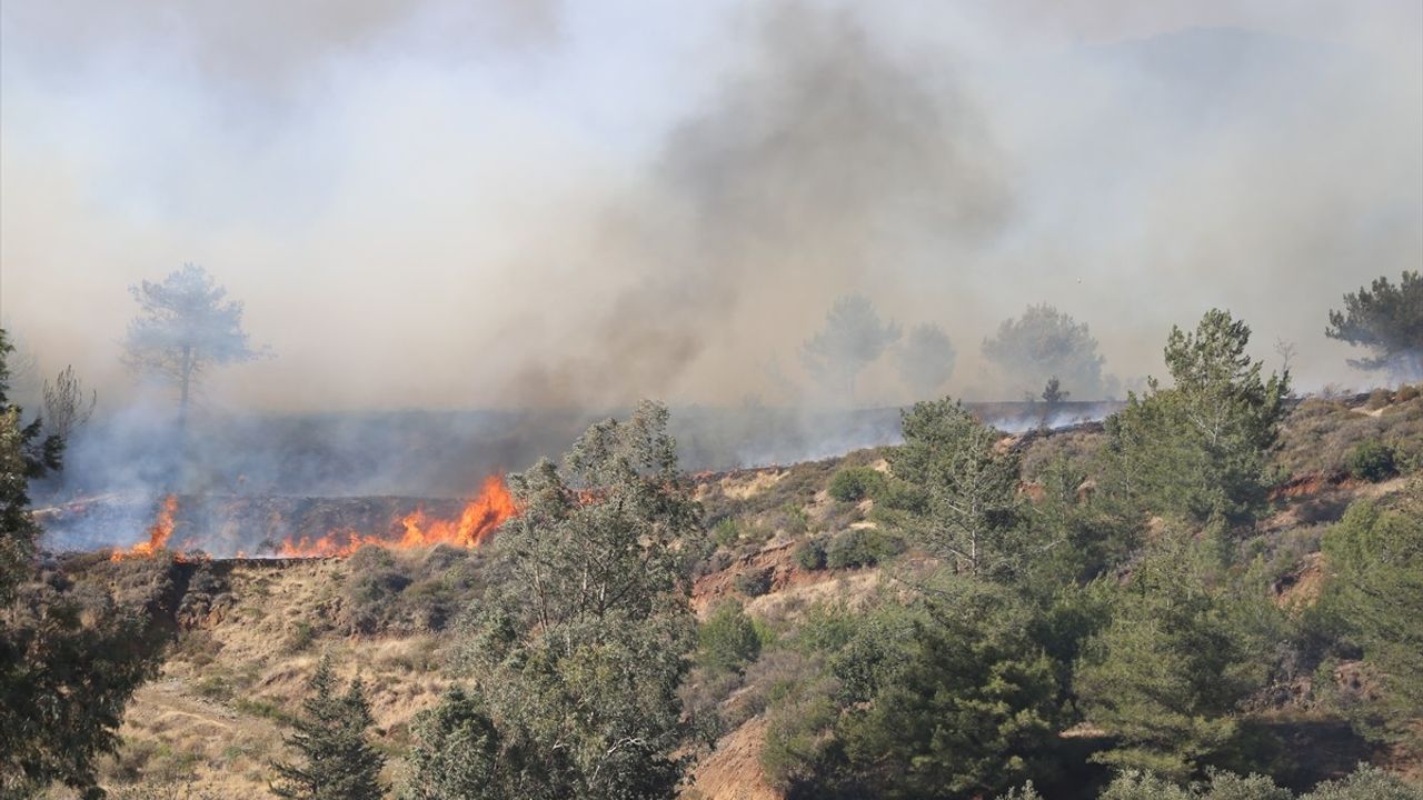 Hatay'da Orman Yangını: Tahliyeler ve Müdahale Çalışmaları
