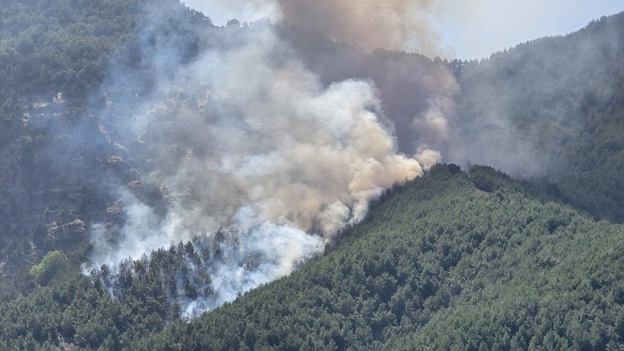 Hatay'da Yangın Alarmı: Hassa'da Ormanlık Alanda Gökyüzünde Mavi Duman