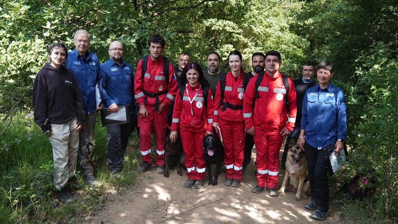 İstanbul'da 2025 FCI Dünya Arama Kurtarma Köpekleri Şampiyonası Düzenlendi